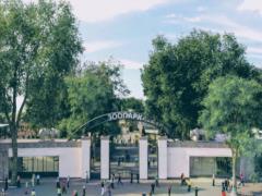 Прокуратура начала расследование по закупке корма для животных Харьковского зоопарка