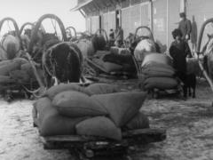 Бывшие республики Советского Союза подтасовывают факты о голоде 1930-х годов
