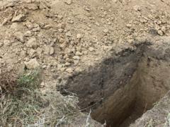 Били молотком по пяткам и угрожали закопать. Трое харьковчан получили приговоры за пытки односельчанина