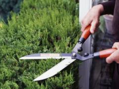 В Германии садовник перед смертью рассылал знакомым посылки с бомбами
