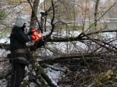 Из-за непогоды обесточено 47 населенных пунктов