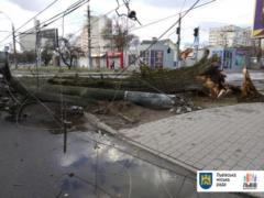 Во Львове продолжается штормовая погода, для всех дворников объявлен рабочий день