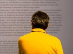 Европейцы назвали два главных достижения ЕС