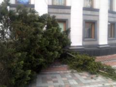 На Верховную раду упала смерека и повредила фасад здания