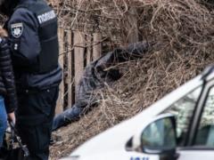 Злоумышленнику, который напал на сотрудника АП, объявлено о подозрении