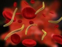 Побеждены вызывающие старение генетические паразиты
