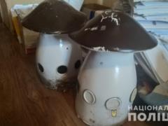 В Харькове двое парней решили обокрасть парк Горького