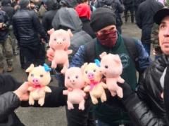  Нацкорпус  забросал АП плюшевыми поросятами