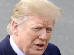  К вечеру : Трамп разберется с террористами в Сирии