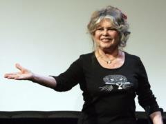84-летнюю Брижит Бардо обвинили в расизме