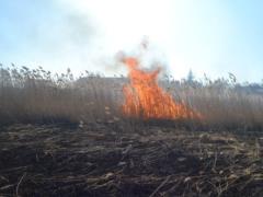 Из-за пожара в Ровенской области пришлось ограничить проезд по двум дорогам