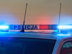 В Польше автомобиль насмерть сбил трех украинцев