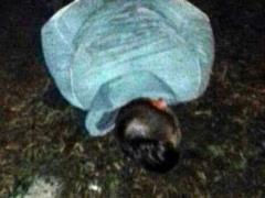 По ночному Николаеву полиция гонялась за морпехами-нарушителями