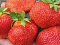 Исследователи определили продукты, улучшающие зрение