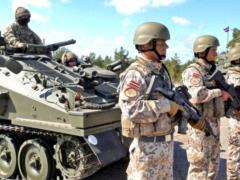 В Латвии задумали вытеснить Израиль и Финляндию из списка поставщиков техники НАТО