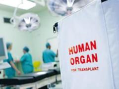 В Британии умершая 10-летняя девочка спасла жизни пятерых детей