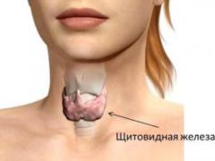 Незаметные симптомы, которые говорят о наличии проблем со щитовидкой