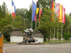 В Германии львы напали на работника зоопарка