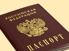 В  ДНР  начали принимать заявки на получение паспортов РФ