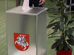 Выборы президента в Литве: кто выходит во второй тур