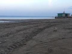 Волга рекордно обмелела