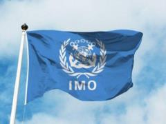 Страны-члены ИМО призвали Россию выполнить решение морского трибунала ООН