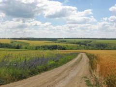 Жара в Украине немного ослабнет