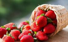 Диетологи назвали полезные продукты без калорий