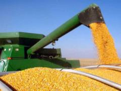 Украина оказалась в ТОП-3 главных поставщиков агропродукции в ЕС