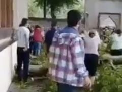 В Азербайджане на туристов упала ветвь 500-летнего дерева