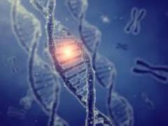 Британские ученые создали уникальный метод исследования генов