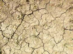 Люди исчерпали годовую норму ресурсов планеты