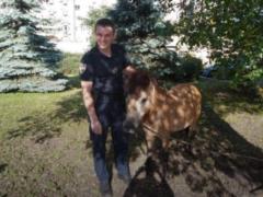 В Киеве патрульные поймали сбежавшего пони