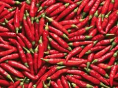 Острый перец предотвращает сердечно-сосудистые заболевания