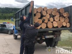 Полиция Харьковщины продолжает борьбу с  черными лесорубами 