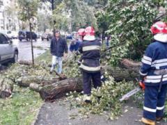Последствия урагана в Киеве