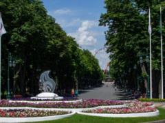 В выходные в Харькове до +30 и дождь