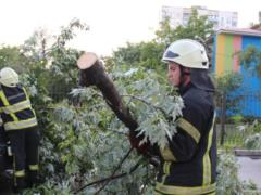 В Киеве второй день подряд ветер валит деревья