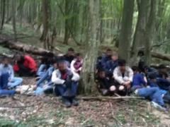 На границе со Словакией со стрельбой задержаны 24 нелегала