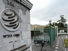 Украина проиграла России в ВТО спор по нитрату аммония