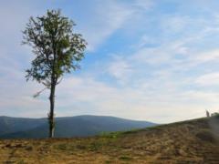 В воскресенье еще будет тепло, а с понедельника резко похолодает