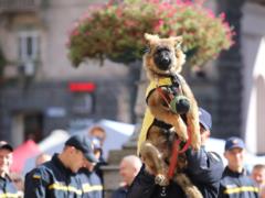 В ГСЧС провели ритуал посвящения щенков в спасатели