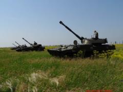 Украина купила в Чехии подержанные  Гвоздики 