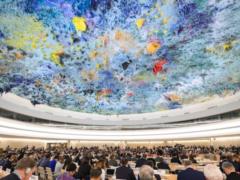 Украина в ООН:  Крым остается зоной вопиющих нарушений прав и свобод 