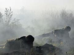 Четырнадцать обстрелов с начала суток, один воин ранен, - ООС