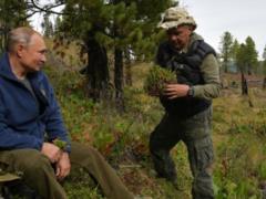 Tages-Anzeiger: Владимир Путин собирал грибы со своим преемником?