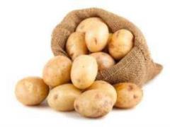 Обычный картофель быстро снимает боли при язве