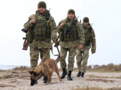 Пограничники задержали нелегальных мигрантов на Львовщине и в Одесской области