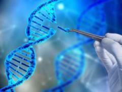 CRISPR натравили на РНК-вирусы в клетках человека