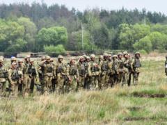 В Житомирской области незаконно вырубали лес на более 14 тыс. га военного полигона